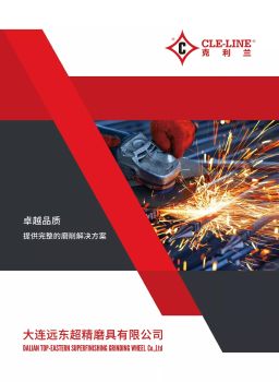 大连远东超精磨具