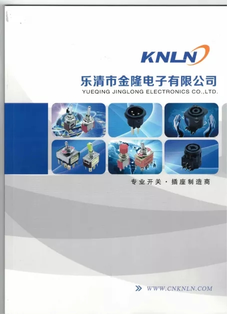 乐清市金隆电子