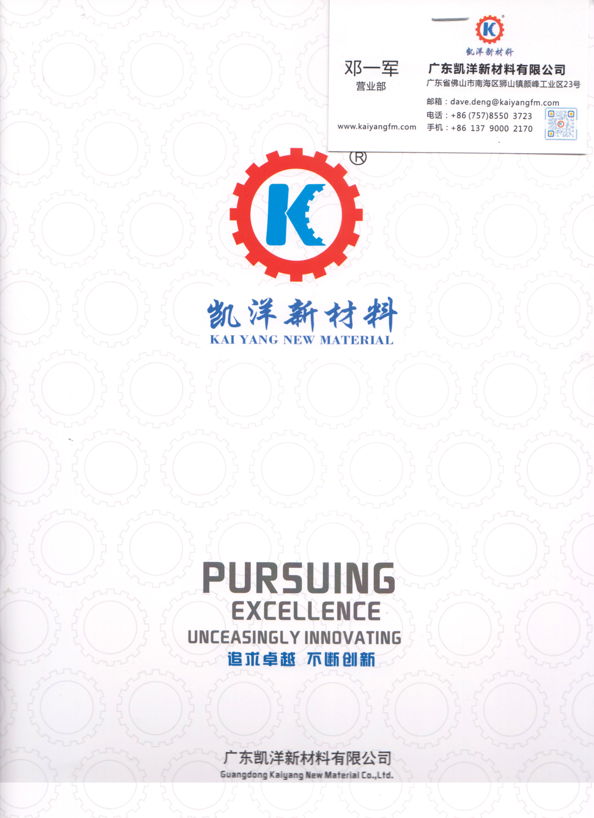 广东凯洋新材料有限公司