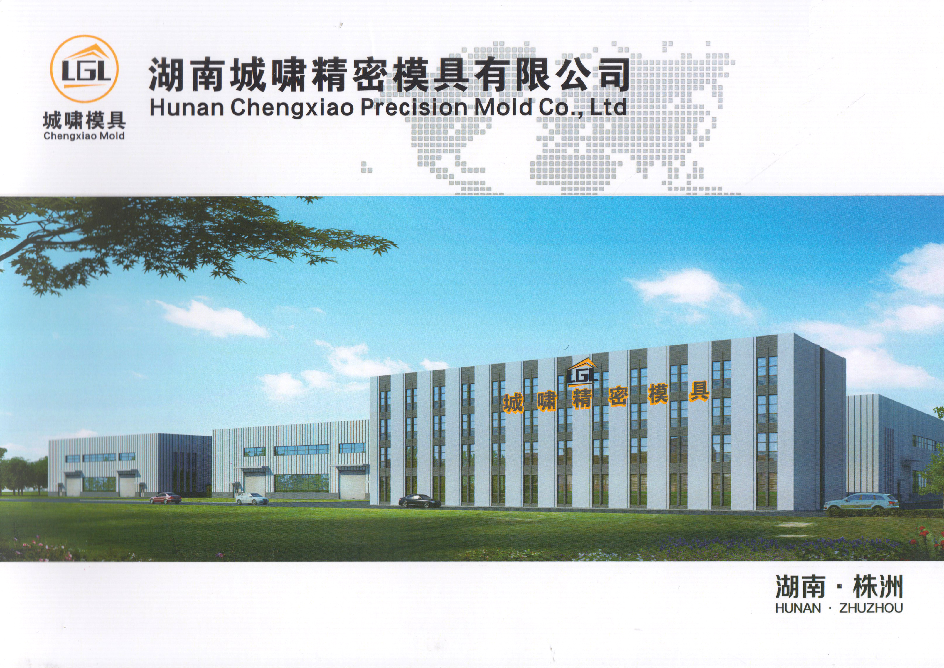 湖南城啸精密模具有限公司