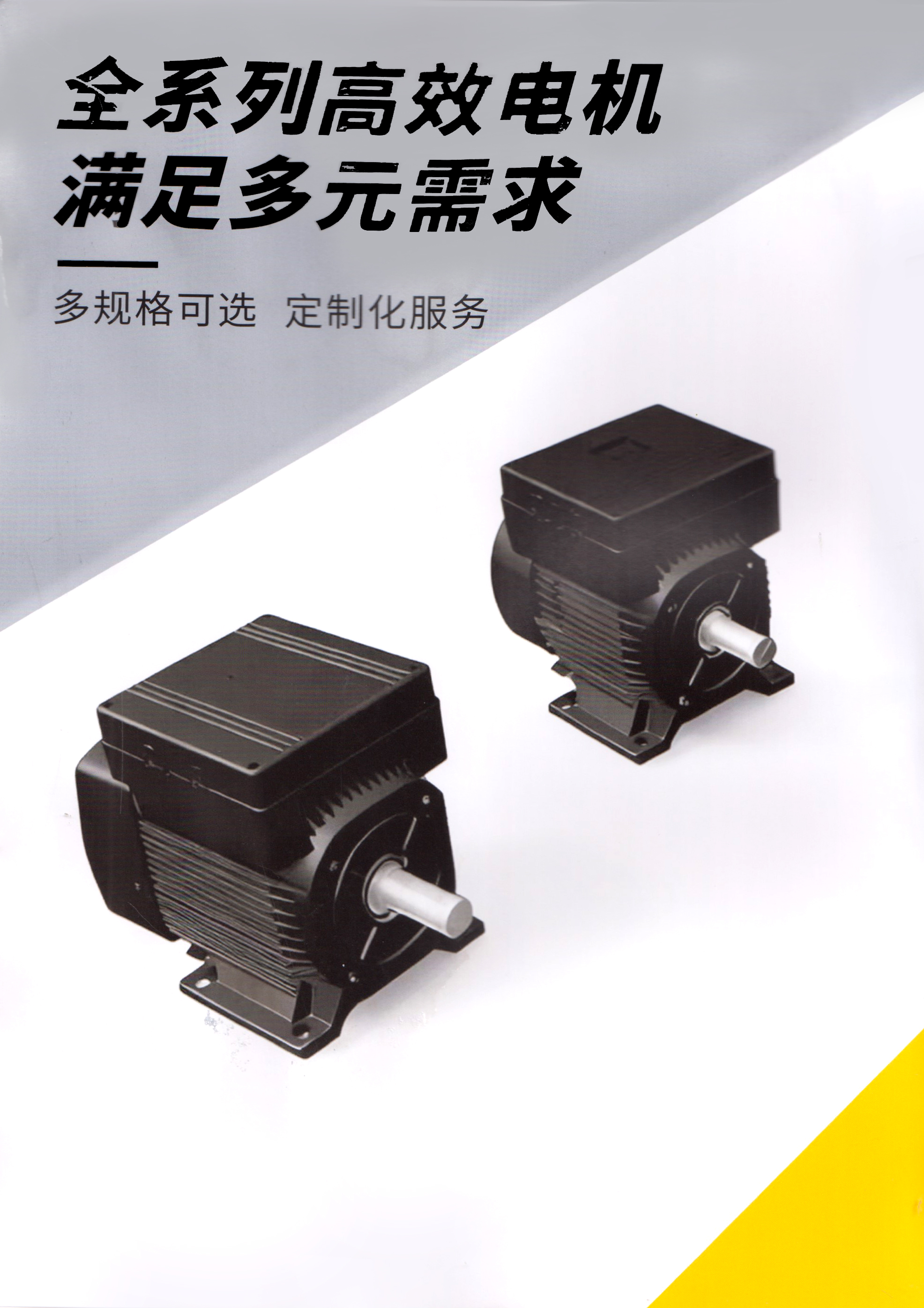 台州市极飞电机有限公司